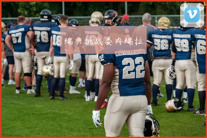 瑞典挑战委内瑞拉
