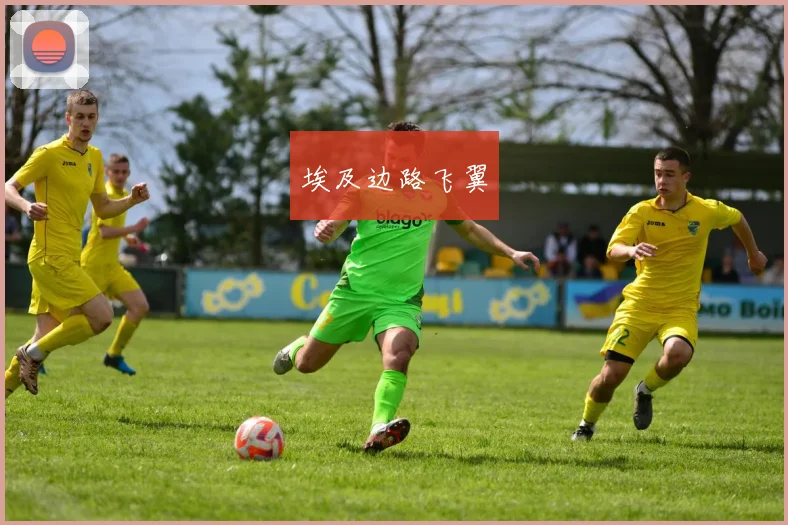埃及边路飞翼