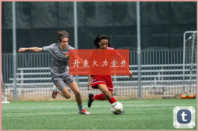 丹麦火力全开
