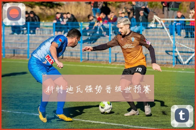 科特迪瓦强势晋级世预赛