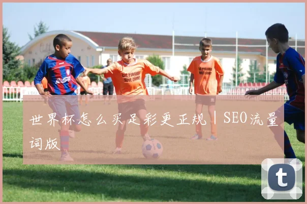 世界杯怎么买足彩更正规｜SEO流量词版