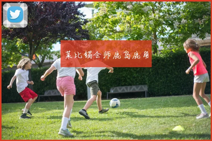 莱比锡会师鹿岛鹿角