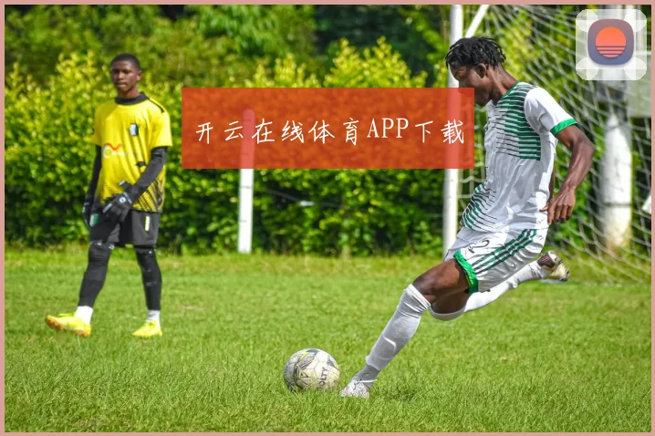 开云在线体育APP下载