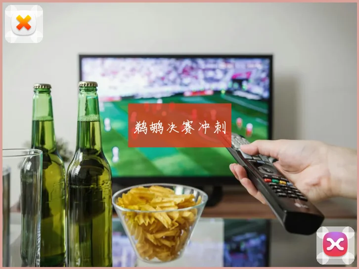 鹈鹕决赛冲刺