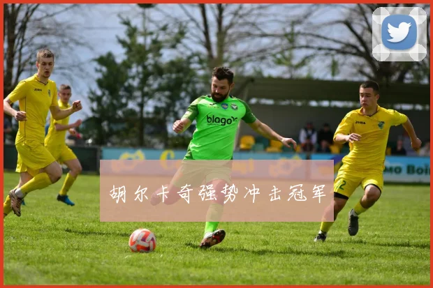 胡尔卡奇强势冲击冠军