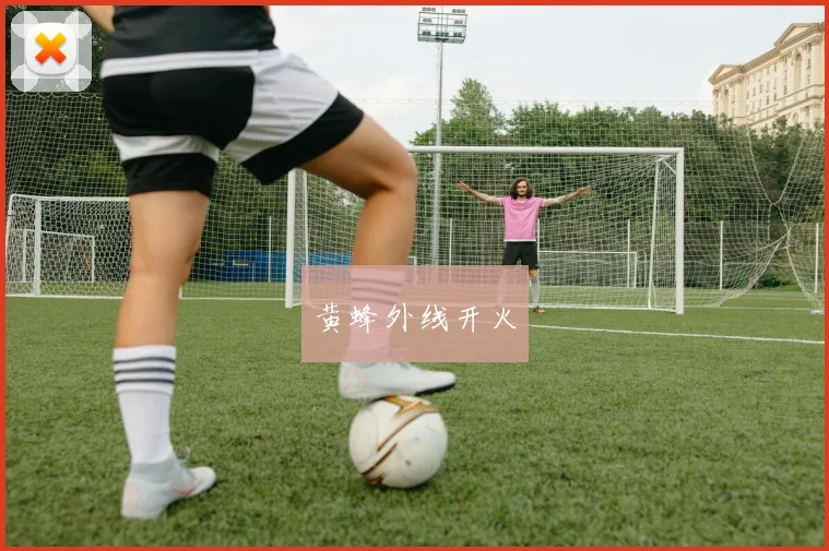 黄蜂外线开火