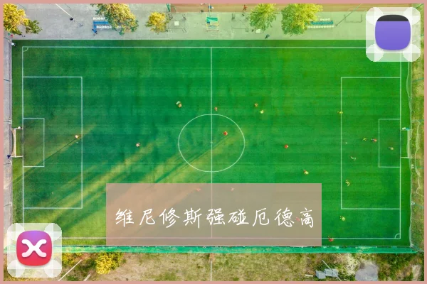 维尼修斯强碰厄德高