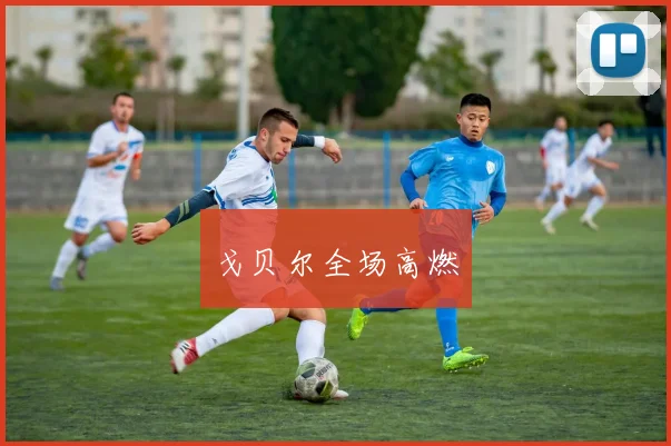 戈贝尔全场高燃