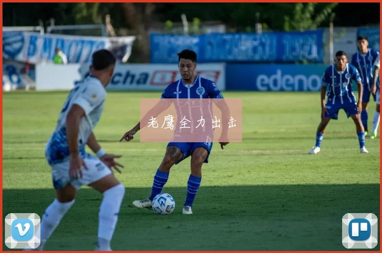 老鹰全力出击