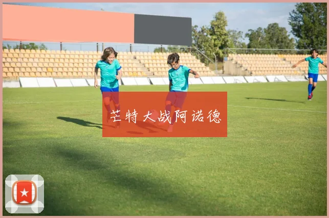 芒特大战阿诺德