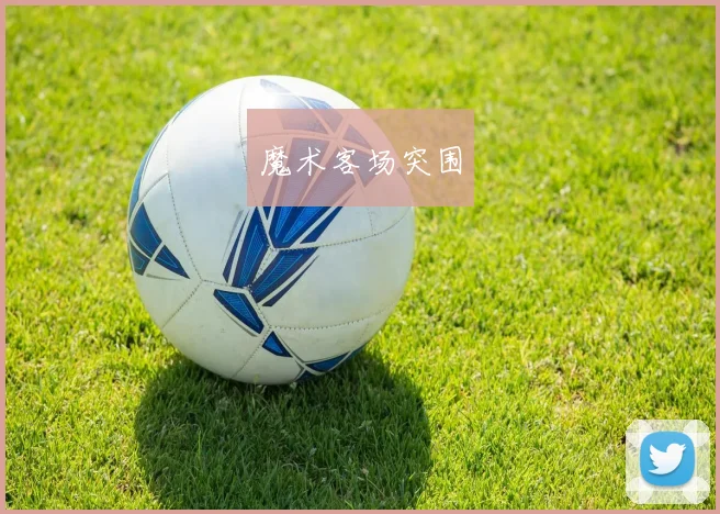 魔术客场突围