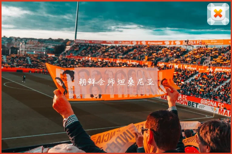 朝鲜会师坦桑尼亚