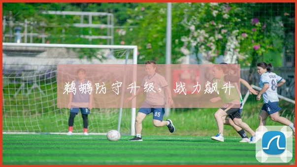 鹈鹕防守升级，战力飙升
