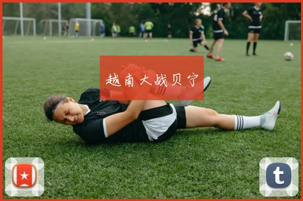 越南大战贝宁