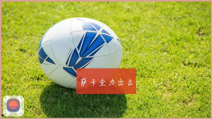 萨卡全力出击