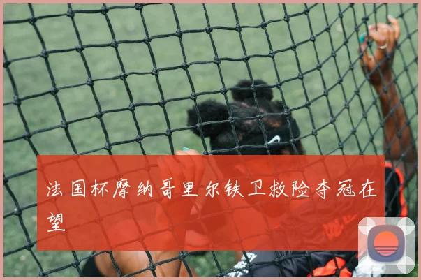 法国杯摩纳哥里尔铁卫救险夺冠在望