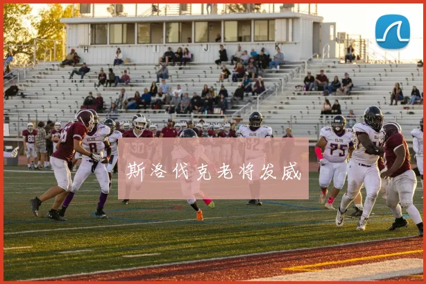 斯洛伐克老将发威