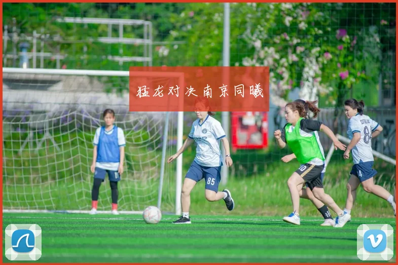 猛龙对决南京同曦