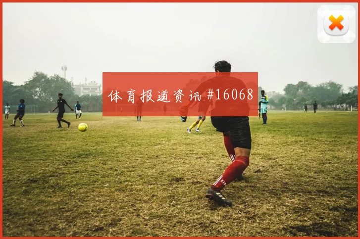 加克波面对瑞典防线门前终结能否提升风险提示