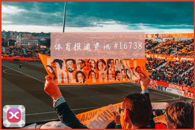 D组土耳其vs澳大利亚战术板解析